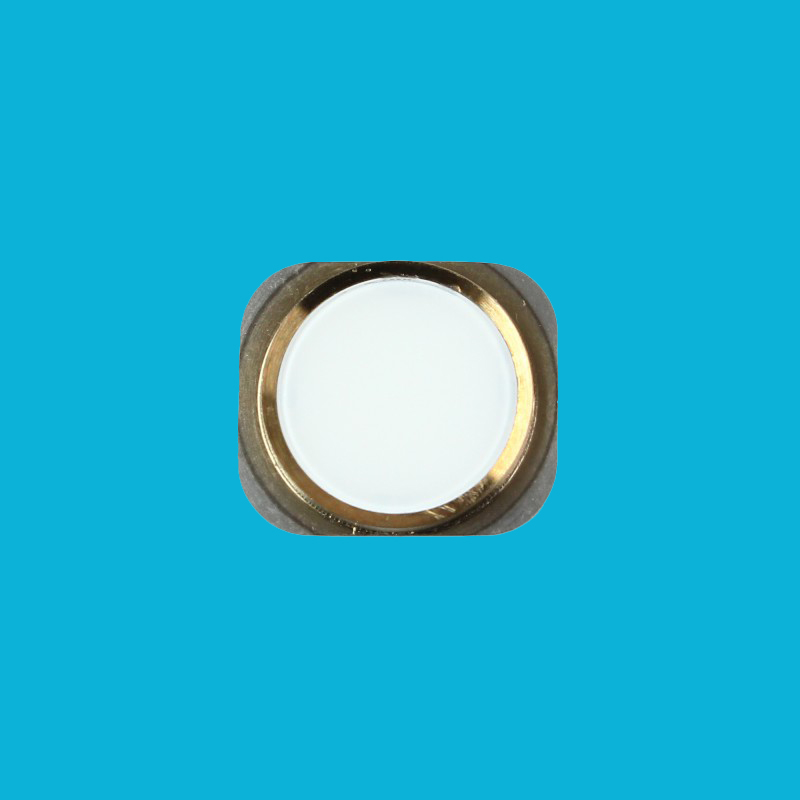 Bouton Home iphone 5s or